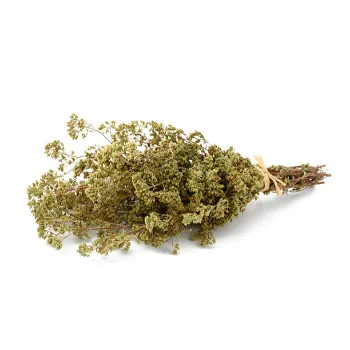 Fresh Dry Mint Leaves